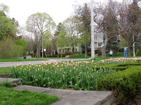 Lawrence Park New Condo Townhouse Developments