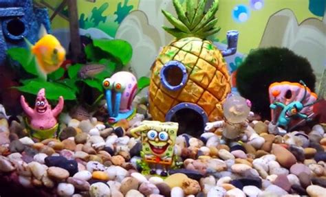 Top Spongebob Fish Tank Decorations & Setup Guide 2020