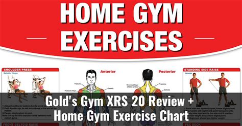 Golds Gym XRS 20 Review Home Gym Exercise Chart