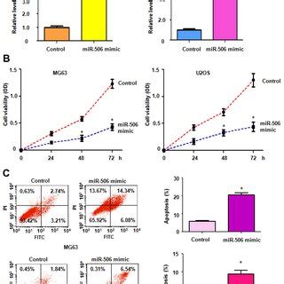 Upregulation of miR-506 suppresses cell viability. (A) The miR-506 ...