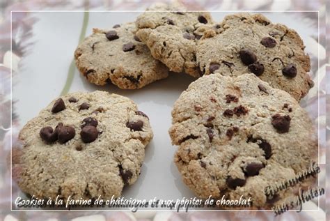 Gourmande Sans Gluten Cookies La Farine De Ch Taigne Et Aux P Pites