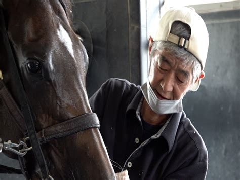 名物厩務員・今浪さんのホースマン人生に迫るドキュメンタリー 競馬ニュース Netkeiba