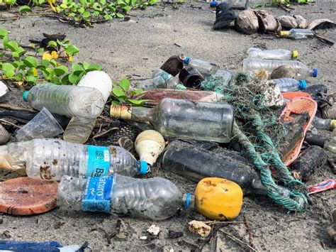 Plastic Pact Dé online groothandel in BIO disposables