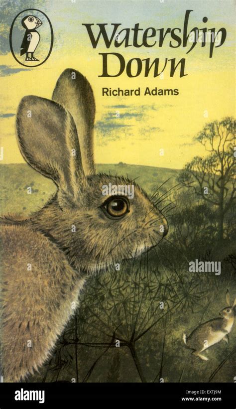 Watership down book hi-res stock photography and images - Alamy