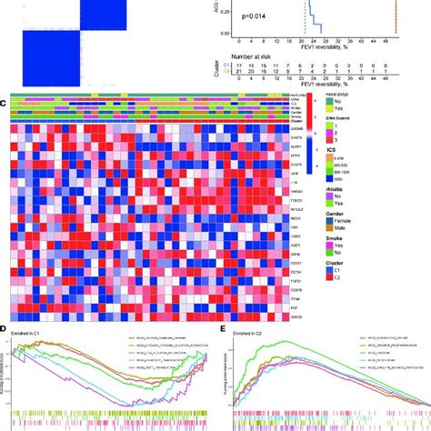 Two Different Pyroptosis Related Subtypes Identified In Asthma By Download Scientific Diagram