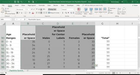 How To Visualize Age Sex Patterns With Population Pyramids In Microsoft Excel Depict Data Studio