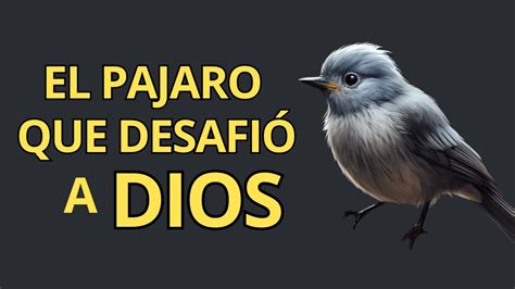 El pájaro que se quejó con Dios Una reflexión que cambiará tu vida