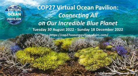 Visit The Cop Virtual Ocean Pavilion Urban Coast Institute