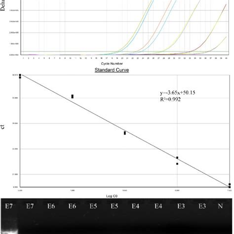 Detection Limits Of Multiplex One Step Real Time Qrt Pcr Assays