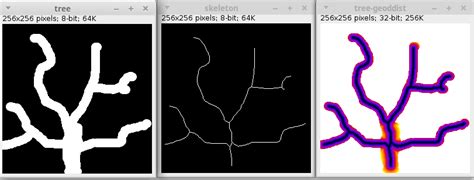 MorphoLibJ S Geodesic Distance Map Plugin Usage Issues Image Sc Forum