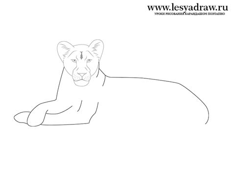 How To Draw A Lioness