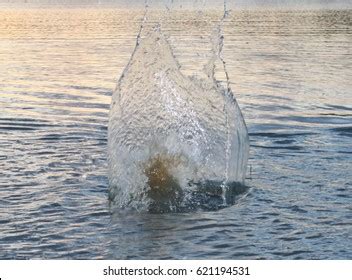 Water Splash Dam Lake Kurwongbah Brisbane Stock Photo 621194531 | Shutterstock