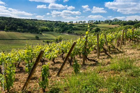 paysage de Bourgogne Stock Photo | Adobe Stock