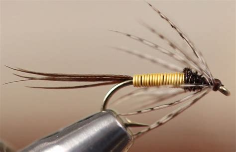 Video How To Tie The Sulphur Soft Hackle Wet Fly Orvis News Fly