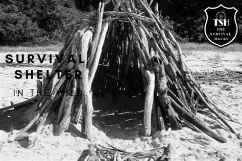 How To Build A Survival Shelter In The Wild The Survival Hacks