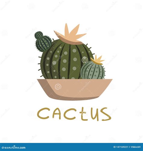 Round Green Cactus Vector Drawing In Doodle Style On White Background