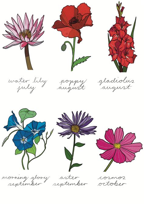 Personalised Birth Month Flower Art Print Gift With Name And Etsy