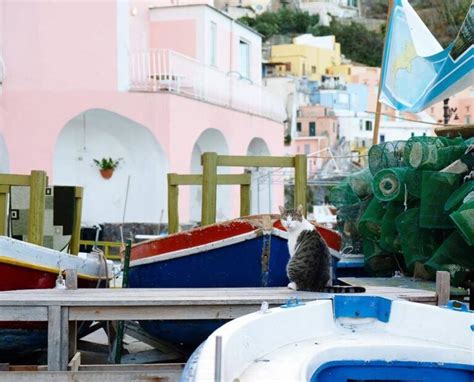 Captivated By Corricella Procida S Colorful Fishing Village