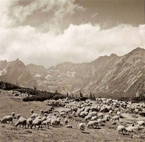 Tatry Na Starej Fotografii Polish Tatra Lamus Dworski