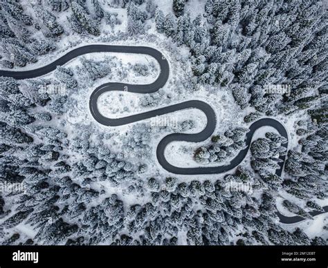 Winding Snake Hi Res Stock Photography And Images Alamy