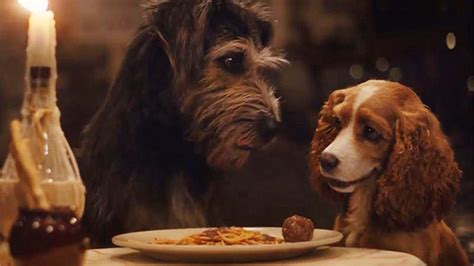 ‎Lady and the Tramp (2019) directed by Charlie Bean • Reviews, film ...