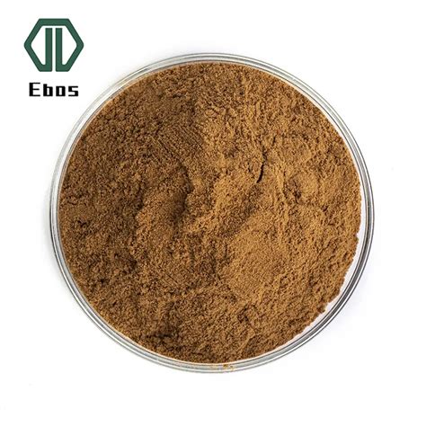 China Manufacturer Pure ginkgo biloba leaf extract ginkgo biloba ...