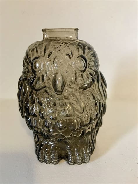 WISE OLD OWL Retro Smoked Glass Coin Bank Libbey Glass Company Etsy