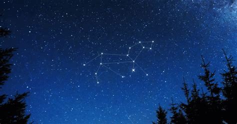 Learn all about Leo Constellation | StarRegistration.net