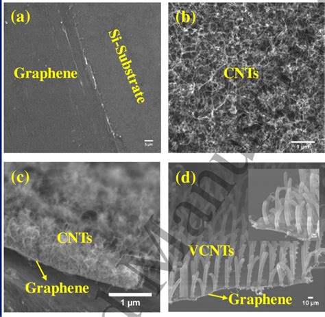 SEM Micrographs Of A Few Layer Graphene FLG B CNTs C Seamless