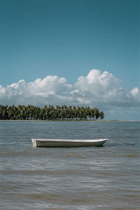 Disparo Vertical De Un Bote Blanco En Un Lago Foto De Archivo Imagen