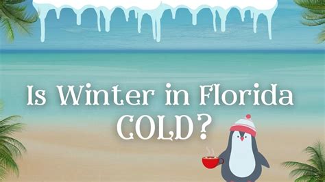 Is Winter in Florida Cold? (North, Central, and South Reviewed) - The ...