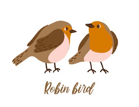 Cartoon Robin Bird Cute Winter Bird Vector Illustration For Prints