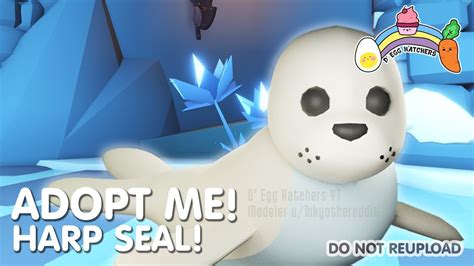 Harp Seal Ocean Pet In Adopt Me Roblox Youtube