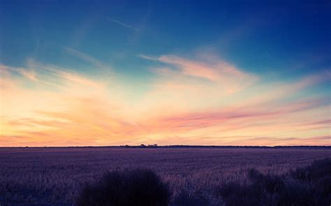 Brown Grass Sky Field Sunset Landscape HD Wallpaper Wallpaper Flare