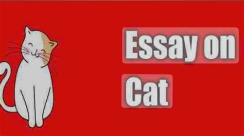 Essay On My Pet Cat In English My Pet Cat Essay In English Lines