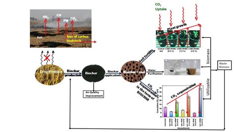 Sustainable Biochar Environmental Benefits And Applications Instytut Mikrobiologii Wydziału