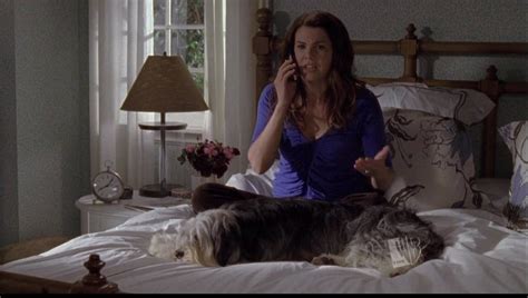 Gilmore Girls – Lorelai & Paul Anka | Famous Pets in TV and Film ...