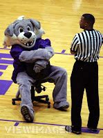 Mascots in Review: Northwestern's Willie the Wildcat