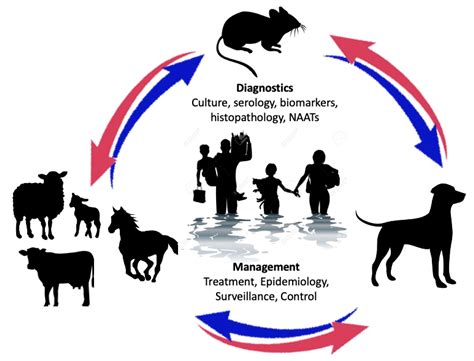 Pathogens Free Full Text Role Of Diagnostics In Epidemiology