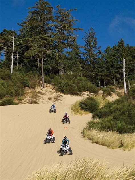 Dune riding | The dunes, Riding, Dune