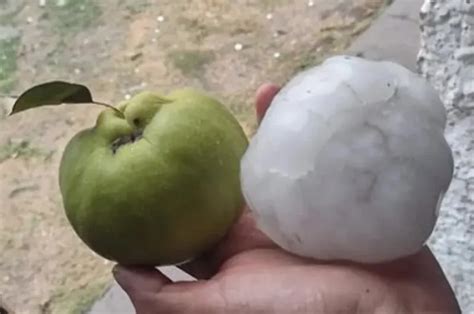 Camiones Volcados Granizo Y Destrozos Tras Temporal En Algunas Zonas