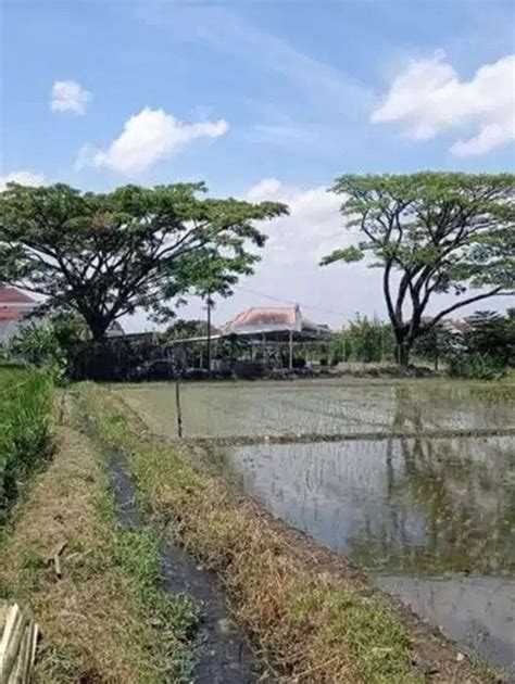 Di Jual Tanah Di Jalan Raya Raden Panji Suroso Kota Malang Properti