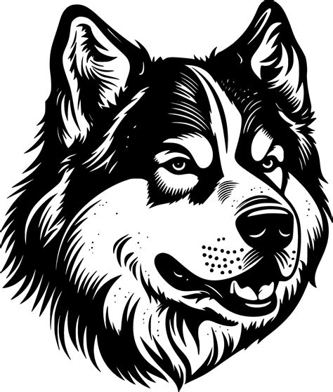 Alaskan Malamute, Black and White illustration 43056733 Vector Art at Vecteezy