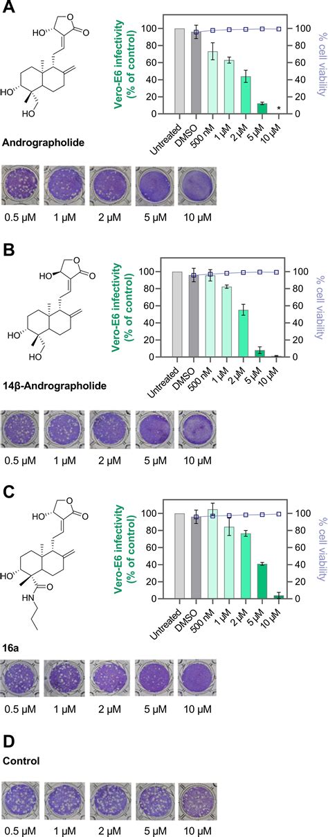 Andrographolide Derivatives Target The Keap1 Nrf2 Axis And Possess Potent Anti‐sars‐cov‐2