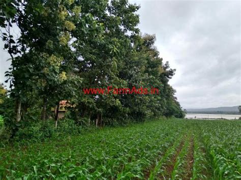 Acre Plantation For Sale In Sagara Shivamogga Besides State