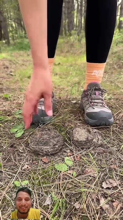 Shock😱 Girl Uses Cow Poop 🐄💩 Camping Survival Bushcraft Outdoors