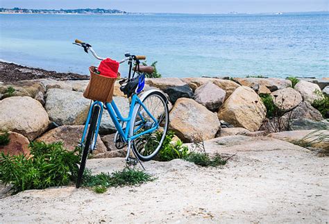 1,200+ Beach Bike Basket Stock Photos, Pictures & Royalty-Free Images - iStock