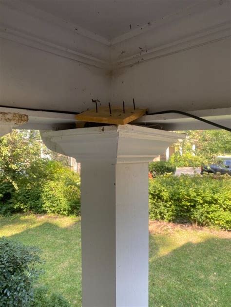 How To Keep Birds From Nesting On Outdoor Ceiling Fans | Shelly Lighting