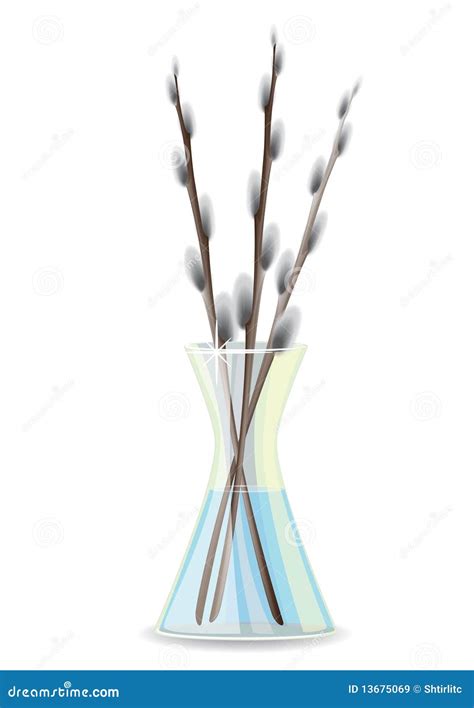 A Pussy Willow Is In A Vase Stock Vector Illustration Of Shade