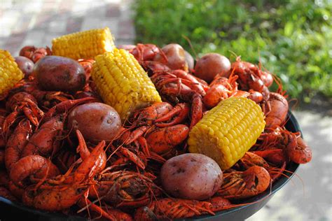 The Meaning And Symbolism Of The Word Crawfish